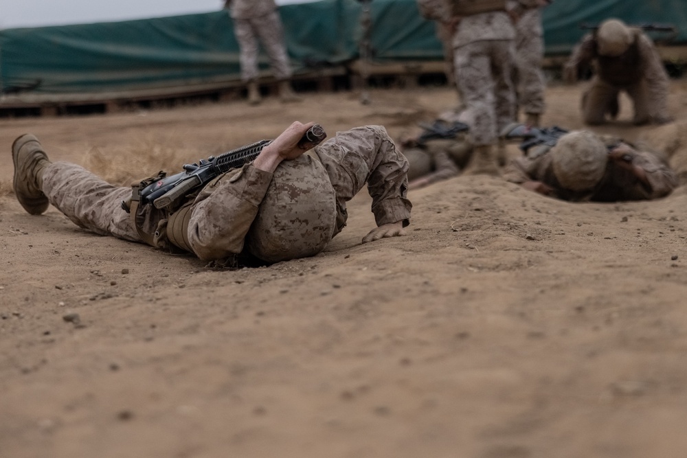 Alpha Company Crucible