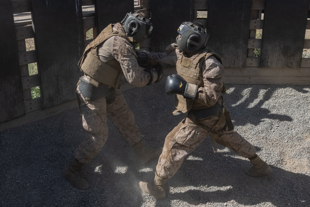 Alpha Company Crucible