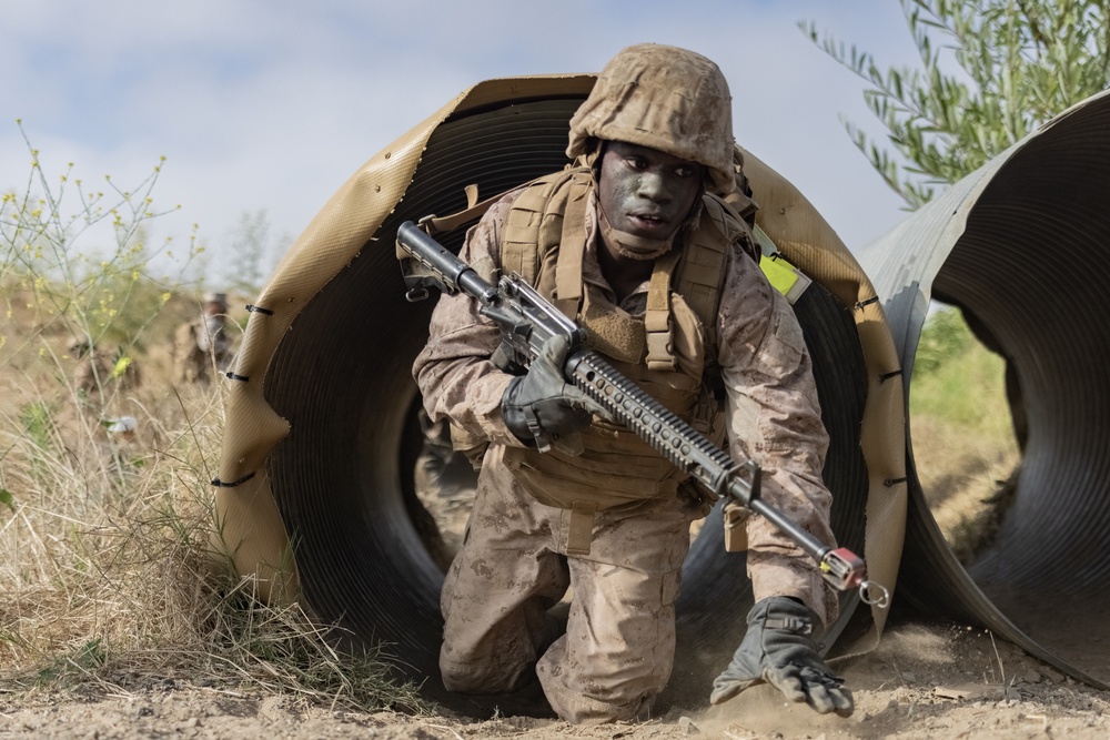 Alpha Company Crucible