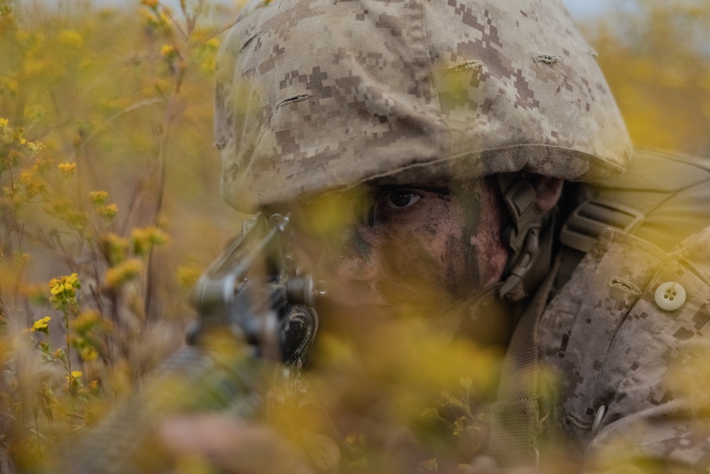 Alpha Company Crucible