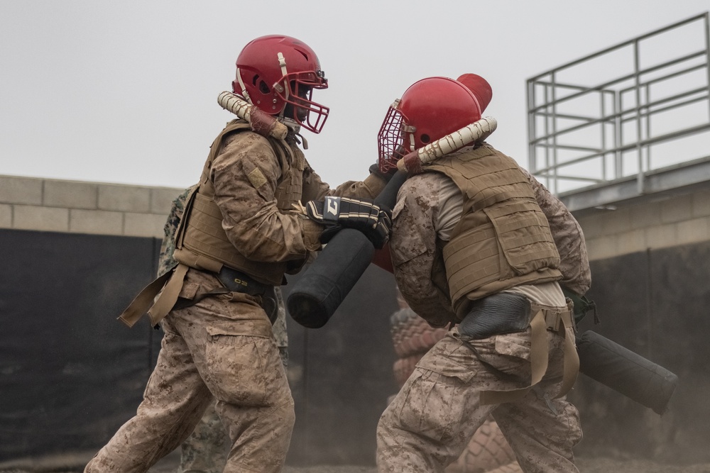 Alpha Company Crucible