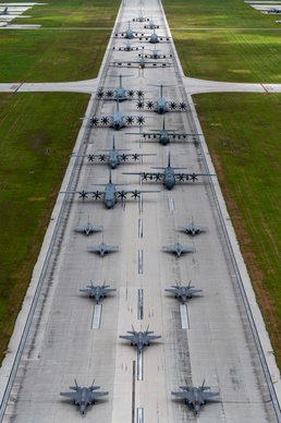 Indo-Pacific Elephant Walk