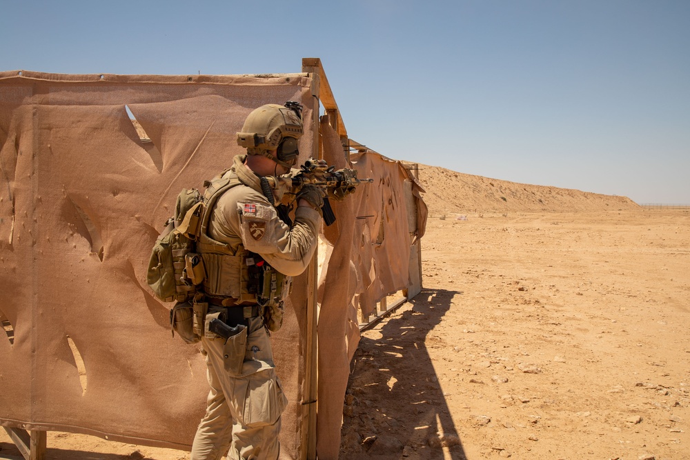 Norwegian soldiers conduct a live-fire exercise at Al Asad Air Base