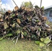 Guam Debris Removal