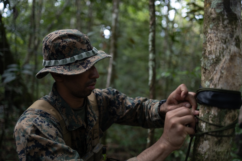 Tradewinds 23: Jungle Amphibious Training School