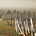 South Dakota National Guard’s 153rd Engineer Battalion holds breach-of-a-complex-obstacle training event at Fort McCoy