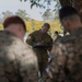 MRF-D Navy Corpsmen practice blood drawing alongside U.S. and Australian Army Soldiers