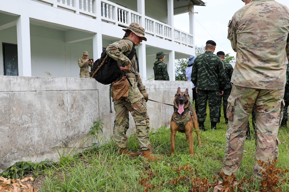 US Army, Royal Thai Army Military Working Dogs team up for joint training exercises