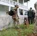 US Army, Royal Thai Army Military Working Dogs team up for joint training exercises