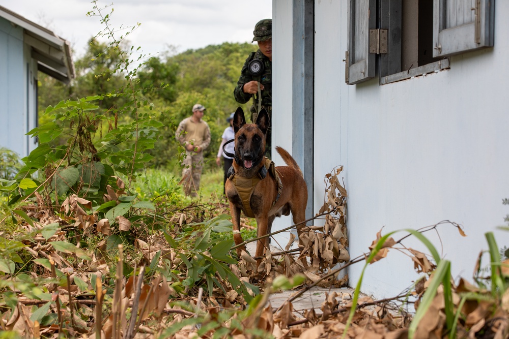 US Army K-9 handlers train in Thailand