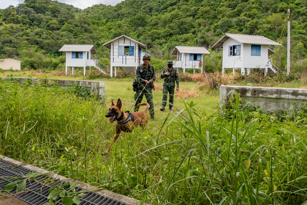 US Army K-9 handlers train in Thailand