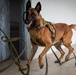 US Army K-9 handlers train in Thailand