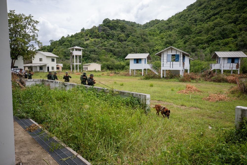 US Army K-9 handlers train in Thailand