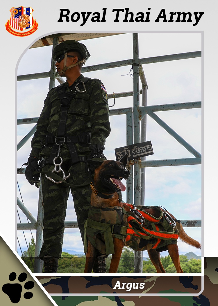 US Army, Royal Thai Army Military Working Dogs team up for joint training exercises