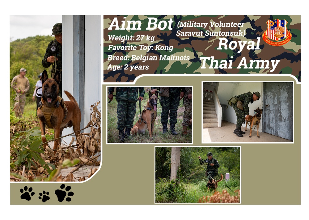 US Army, Royal Thai Army Military Working Dogs team up for joint training exercises