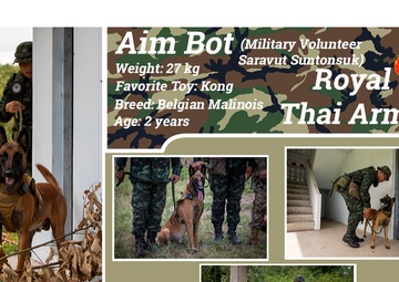 US Army, Royal Thai Army Military Working Dogs team up for joint training exercises