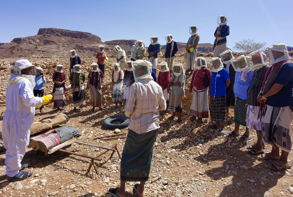 USAID ERLP’s Mukalla-based team provides training in honey production.