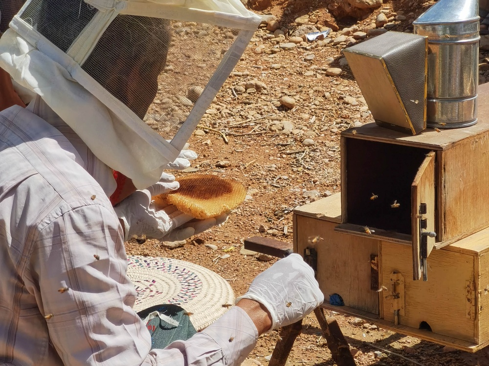 USAID Supports Honey Producers in Yemen