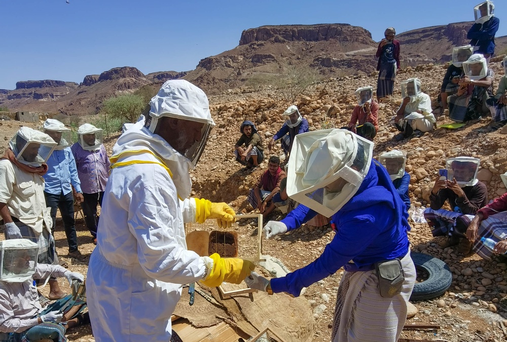 USAID Supports Honey Producers in Yemen