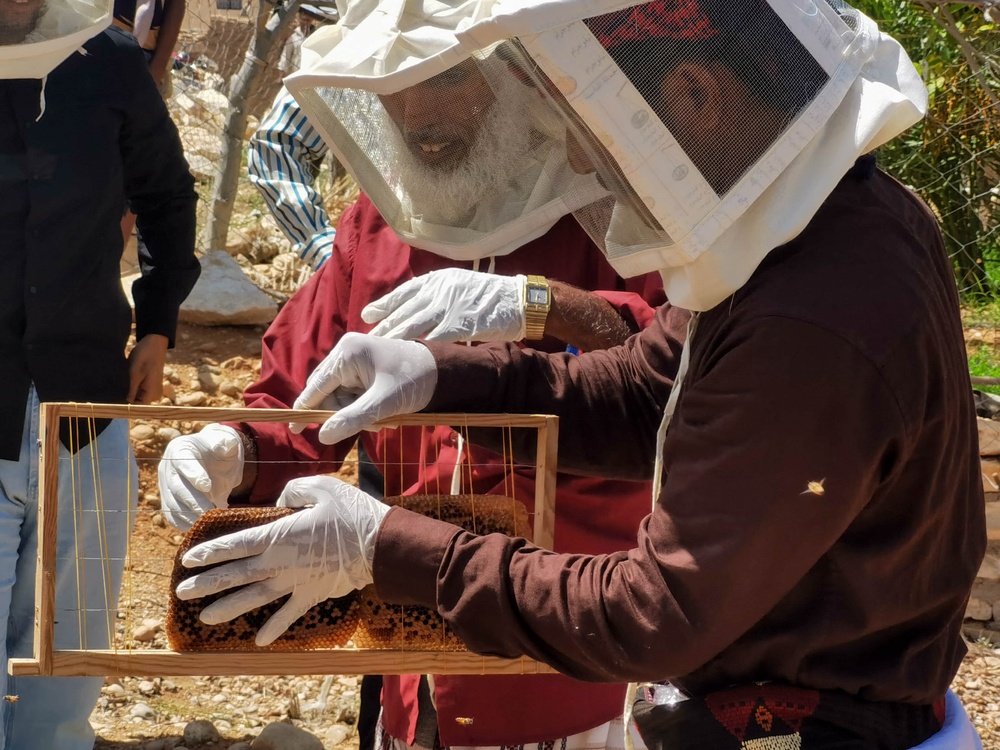 USAID Supports Honey Producers in Yemen