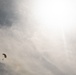 U.S., multinational partners conduct air jump during TRADEWINDS23