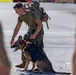 Joint MWD Explosive Detection Training