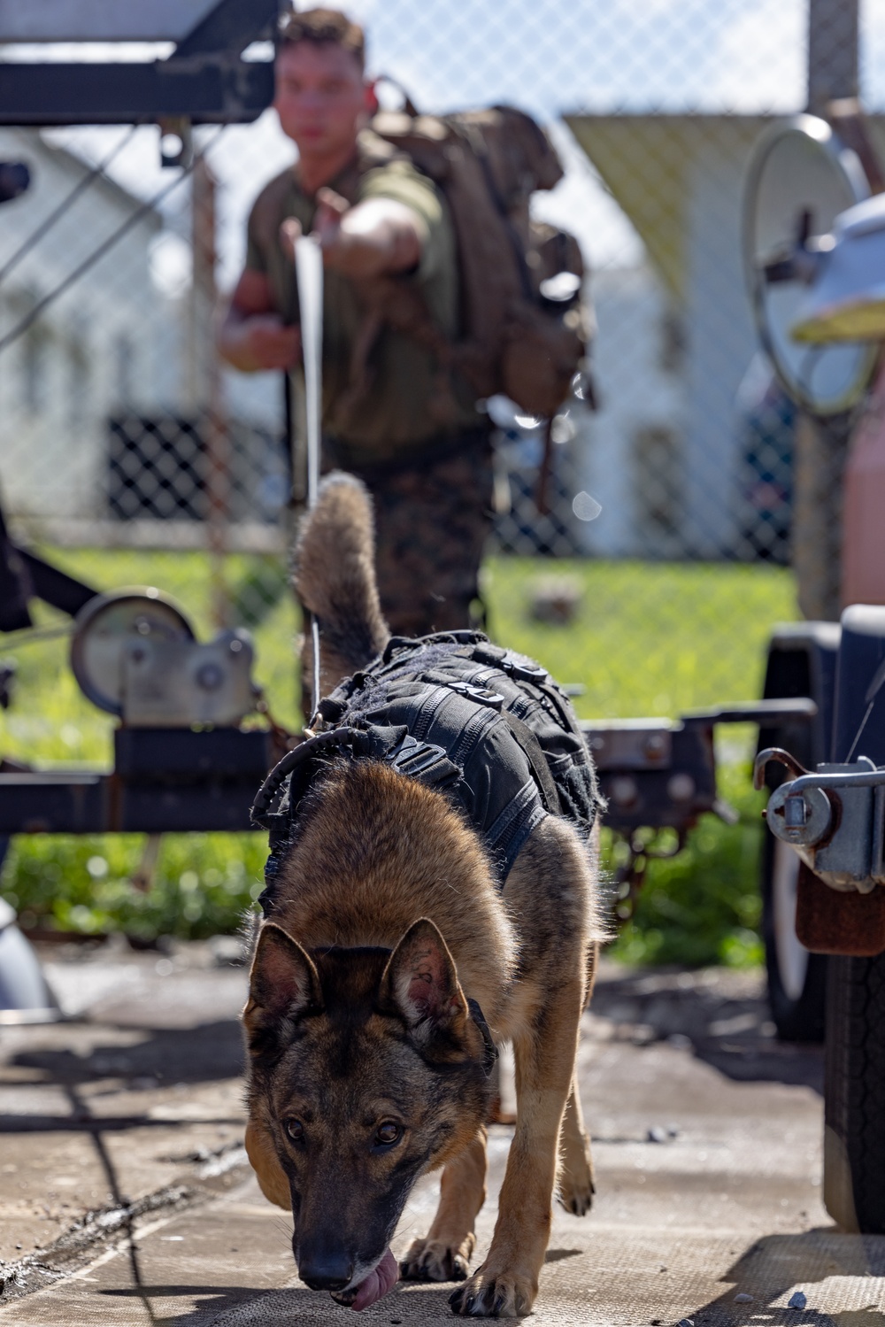 Joint MWD Explosive Detection Training