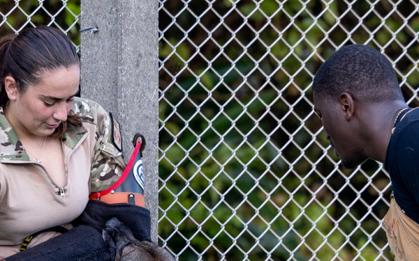 Joint MWD Bite Training
