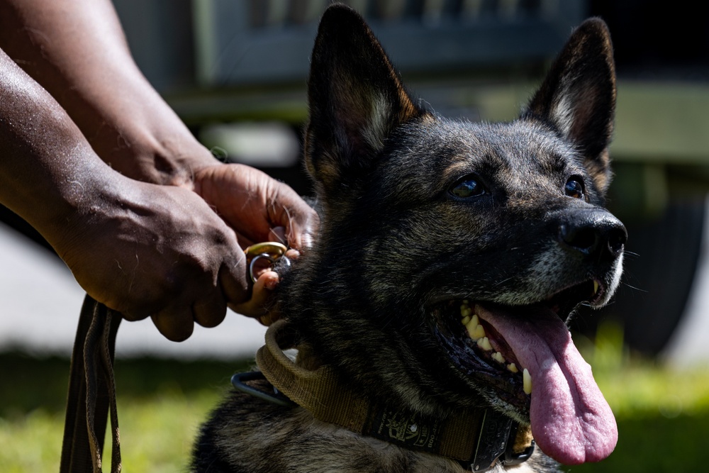 Joint MWD Bite Training