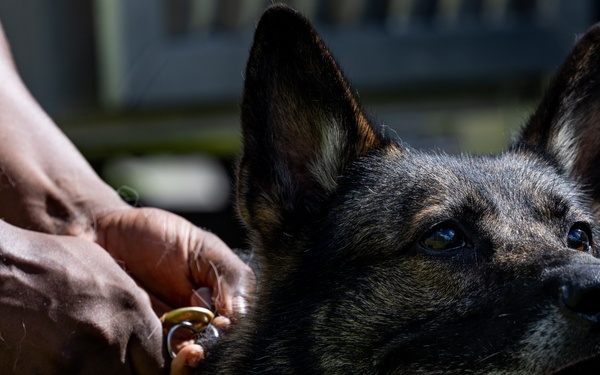 Joint MWD Bite Training