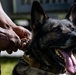 Joint MWD Bite Training