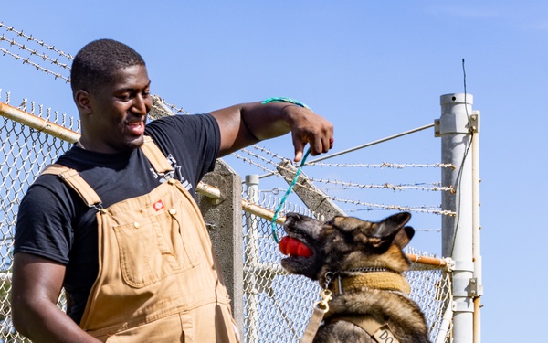 Joint MWD Bite Training