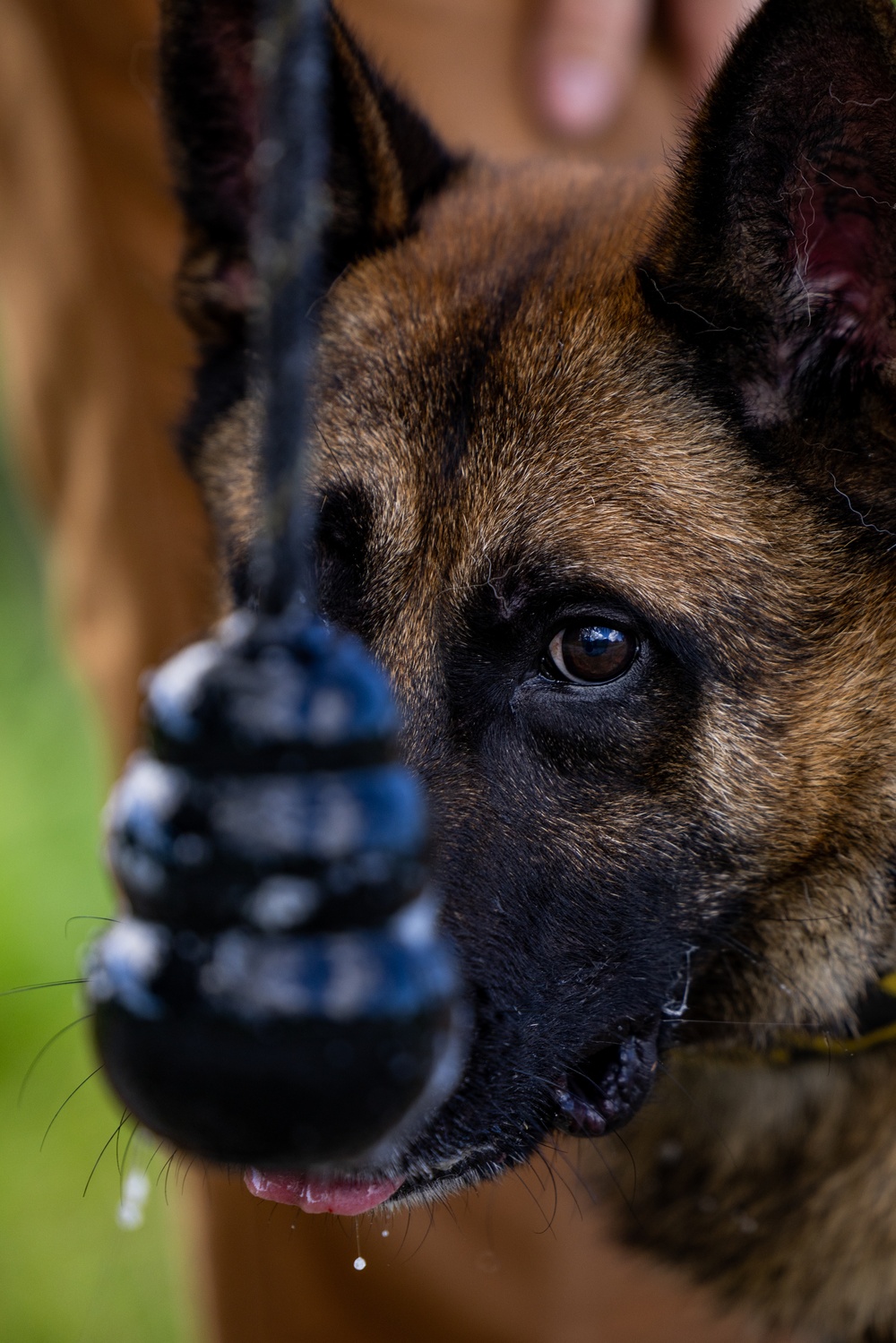 Joint MWD Explosive Detection Training