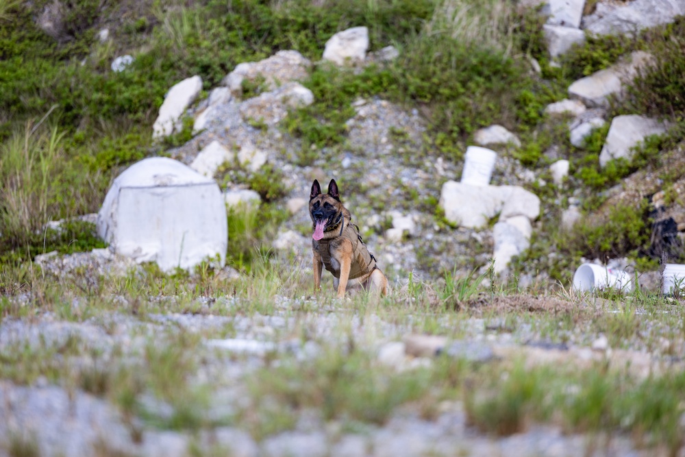 Joint MWD Explosive Detection Training