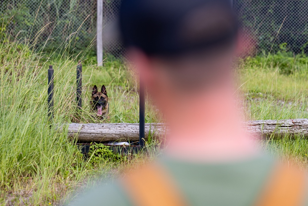 Joint MWD Explosive Detection Training