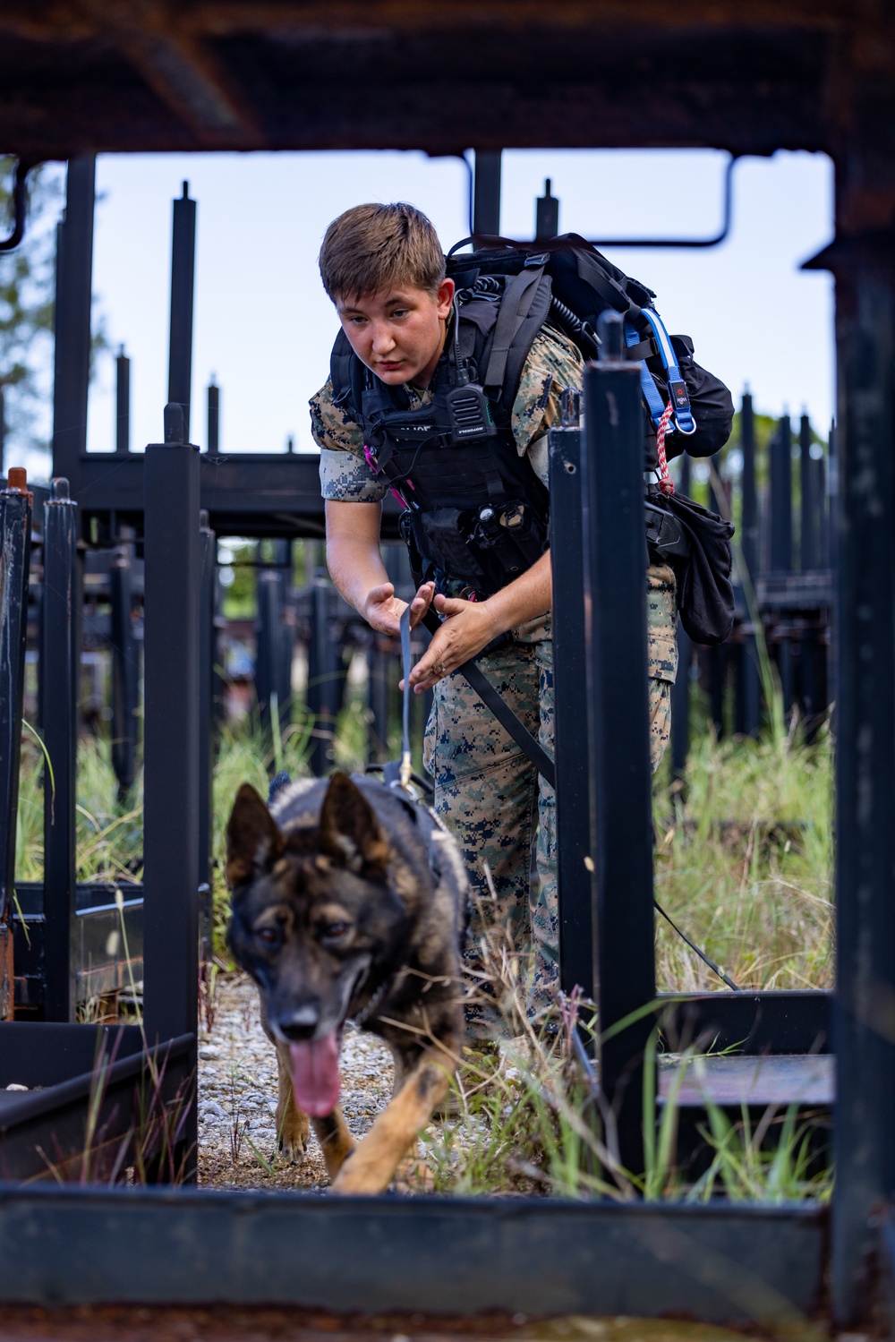 Joint MWD Explosive Detection Training