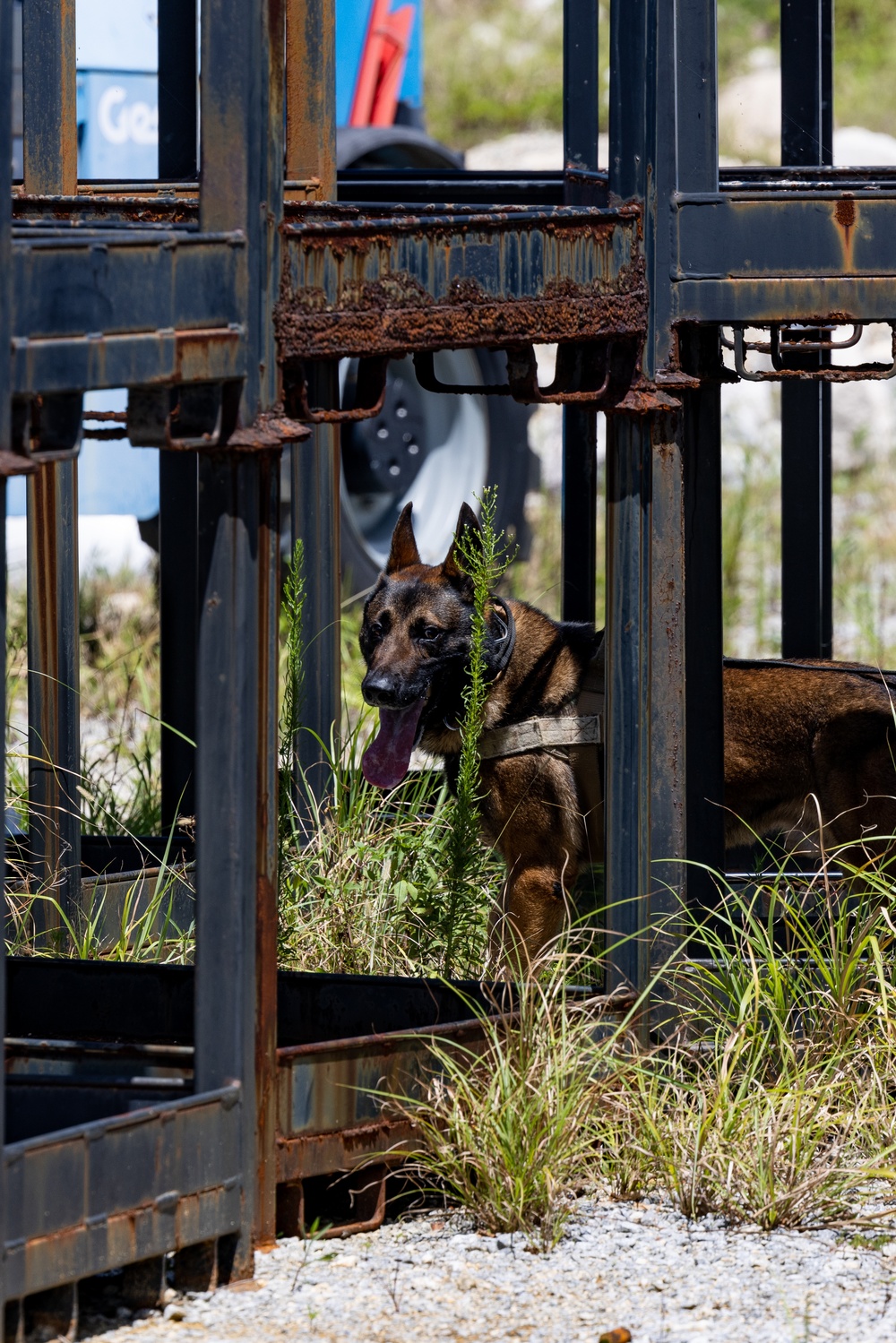 Joint MWD Explosive Detection Training