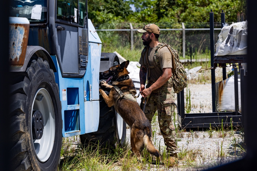 Joint MWD Explosive Detection Training