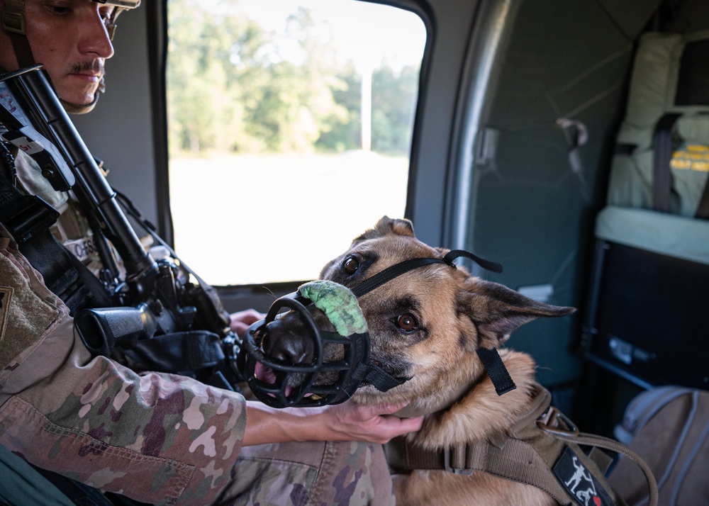 Training exercise prepares military working dog teams for future missions