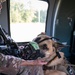 Training exercise prepares military working dog teams for future missions