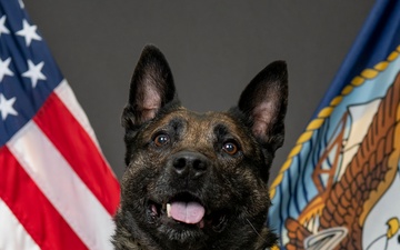 Navy SEAL Military Working Dog Retires