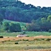 153rd Engineer Battalion holds breach-of-a-complex-obstacle training event at Fort McCoy