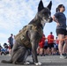 JBER Commander Hosts Fun Run