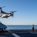 USS America Conducts Flight Operations During Talisman Sabre