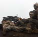 MWSS-171 Marines Conduct M203 and Mark 19 Grenade Launcher Live-Fire