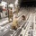 Combined members load, transport Airmen for Talisman Sabre 23 Combined members load, transport Airmen for Talisman Sabre 23