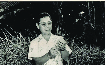 Endangered ‘Aupaka plant brings founder’s family to Hawai’i Island decades later