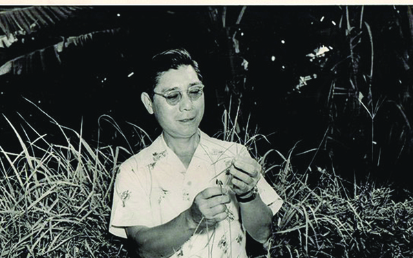 Edward Y. Hosaka at work in the field