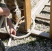 1-182 Infantry Takes on LRC