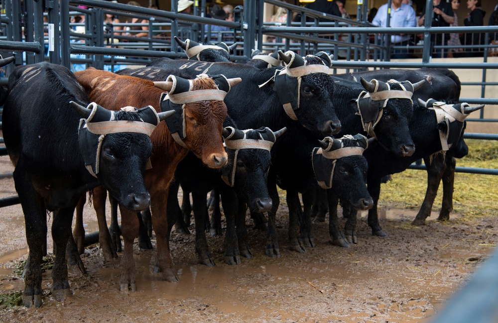 Never a Rodeo Without Space